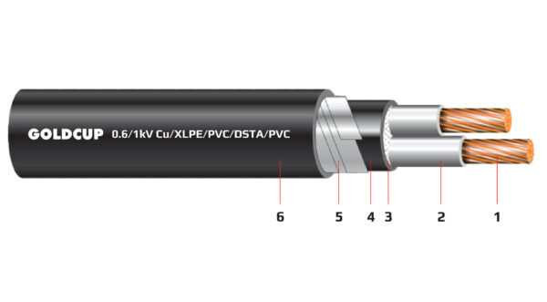 Cáp điện 2 lõi có giáp bảo vệ (cáp ngầm) 0.6/1 kV - Cu/XLPE/PVC/DSTA/PVC