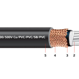 Cáp điều khiển ruột mềm có màn chắn 300/500V - Cu/PVC/PVC/SB/PVC
