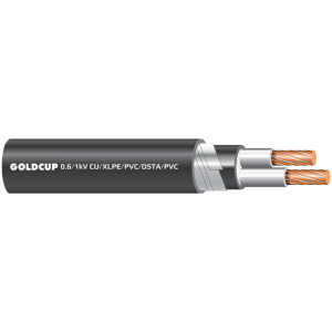 0.6/1 kV - Armoured 2 cores cables (Underground Cable) - Cu/XLPE/PVC/DSTA/PVC