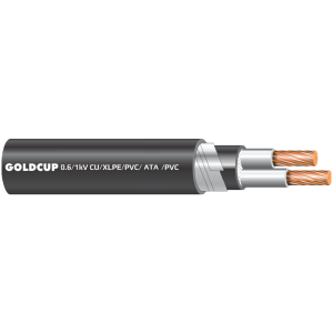 0.6/1 kV - 2 cores service entrance cables (Muyle Cable) - Cu/XLPE/PVC/ATA/PVC